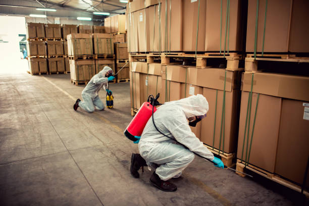 Best Pest Control Near Me  in Bear Creek, AL