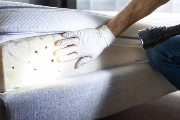 Best Best Pest Control Companies  in Bear Creek, AL