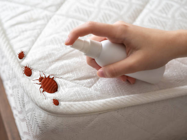 Best Flea Control Services  in Bear Creek, AL