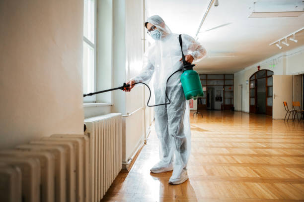 Best Pest Inspection Near Me  in Bear Creek, AL