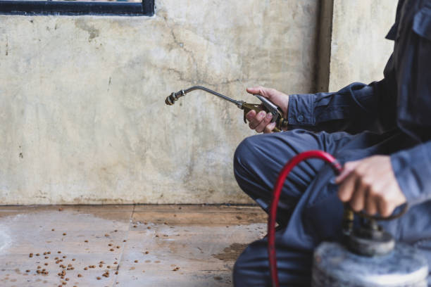 Best Mosquito Control Services  in Bear Creek, AL